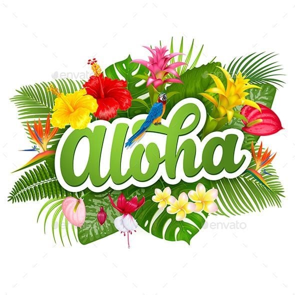 Aloha!